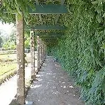 Casas Do Monte De Roques