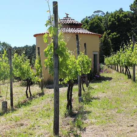Gospodarstwo agroturystyczne Casas Do Monte De Roques Vila de Punhe