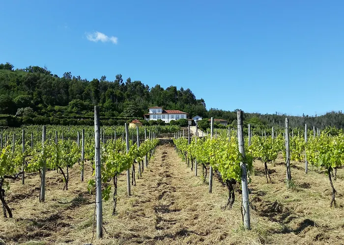 Casas Do Monte De Roques Farm stay Vila de Punhe
