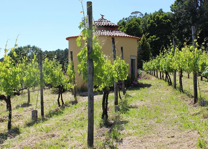 Agroturismo Casas Do Monte De Roques Vila de Punhe