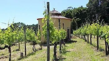 Agroturismo Casas Do Monte De Roques